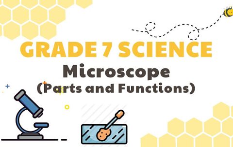 g7 science